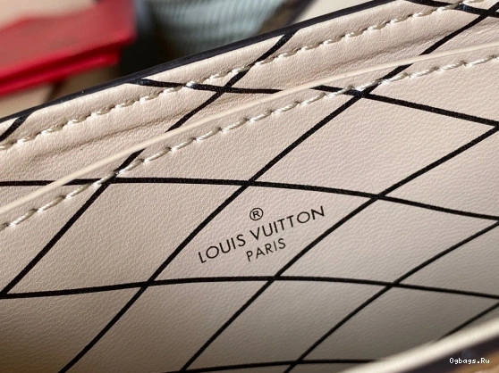TRUNK LOUIS POCHETTE VERTICAL VUITTON 0509